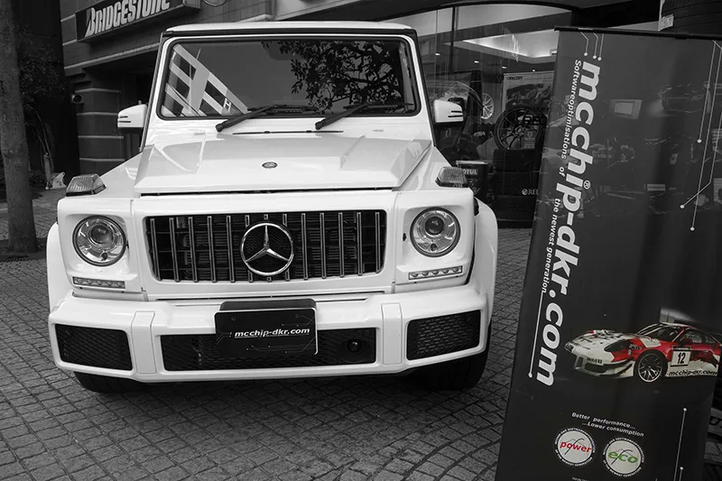 G350d ECU mcchip-dkr