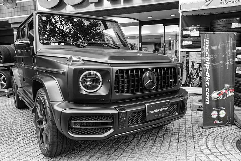 G63 AMG W463A ECU akrapovic