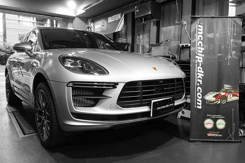 macan ecu mcchip-dkr