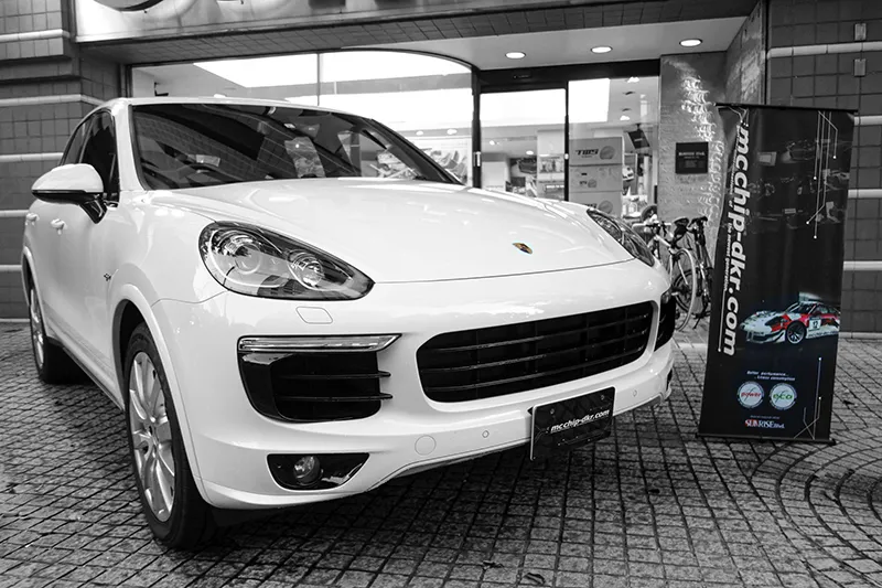 958 cayenne ecu pulley