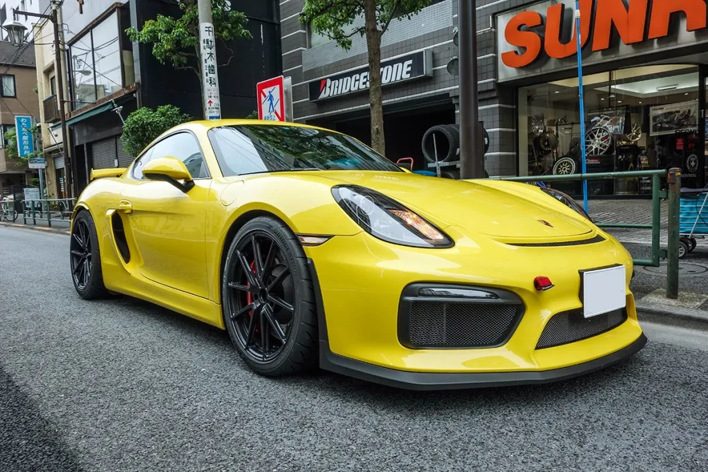 porsche 981 GT4 TWS