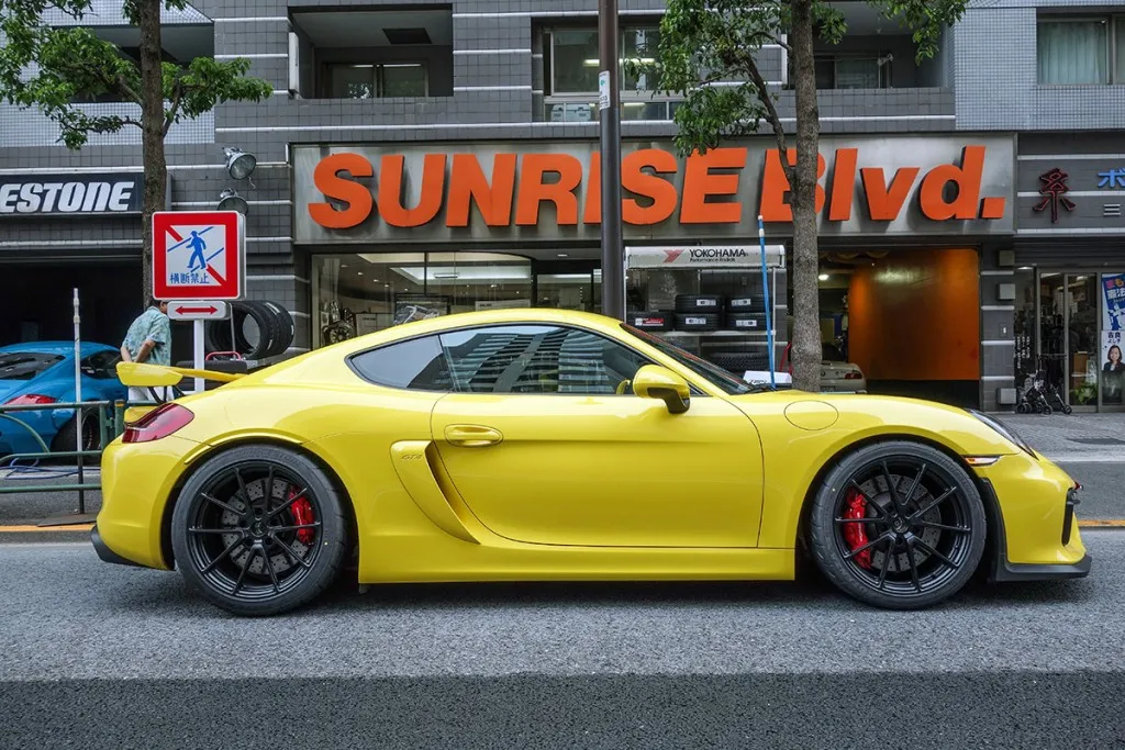 porsche 981 GT4 TWS